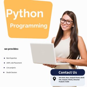 python programming