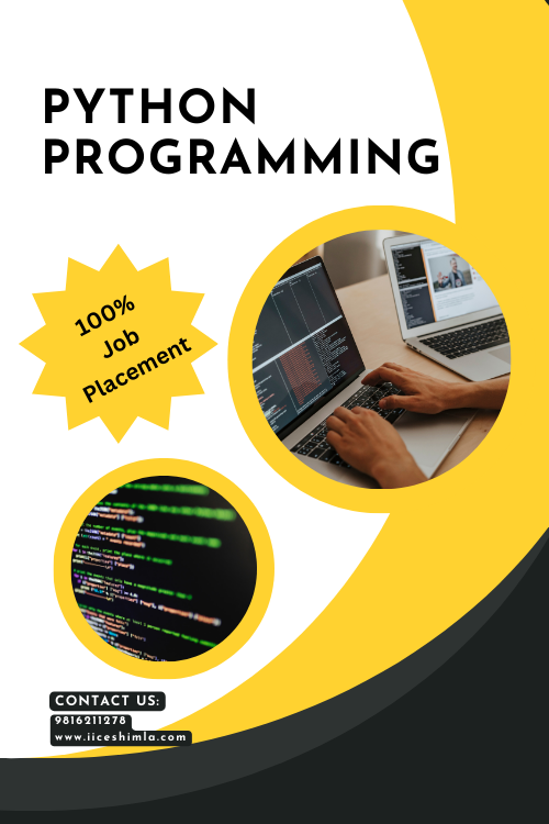 python programming